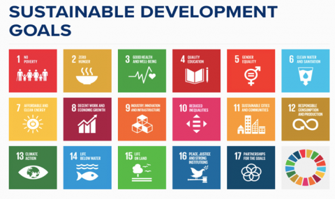 Sustainable Development Goals