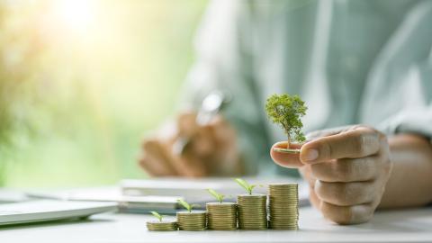 Green Economy