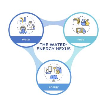 Nexus