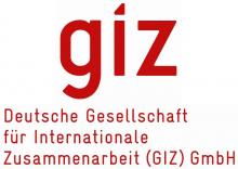 GIZ logo